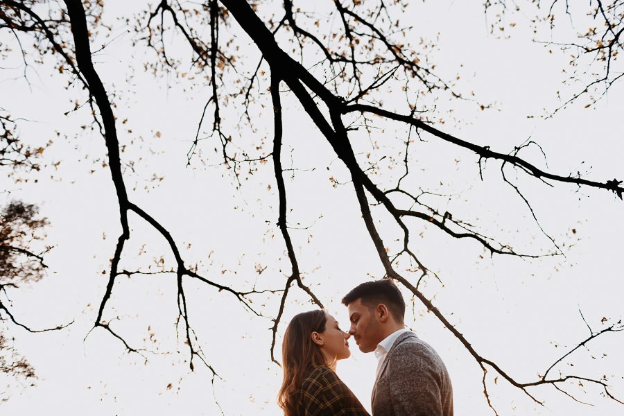 A perfect surprise wedding proposal