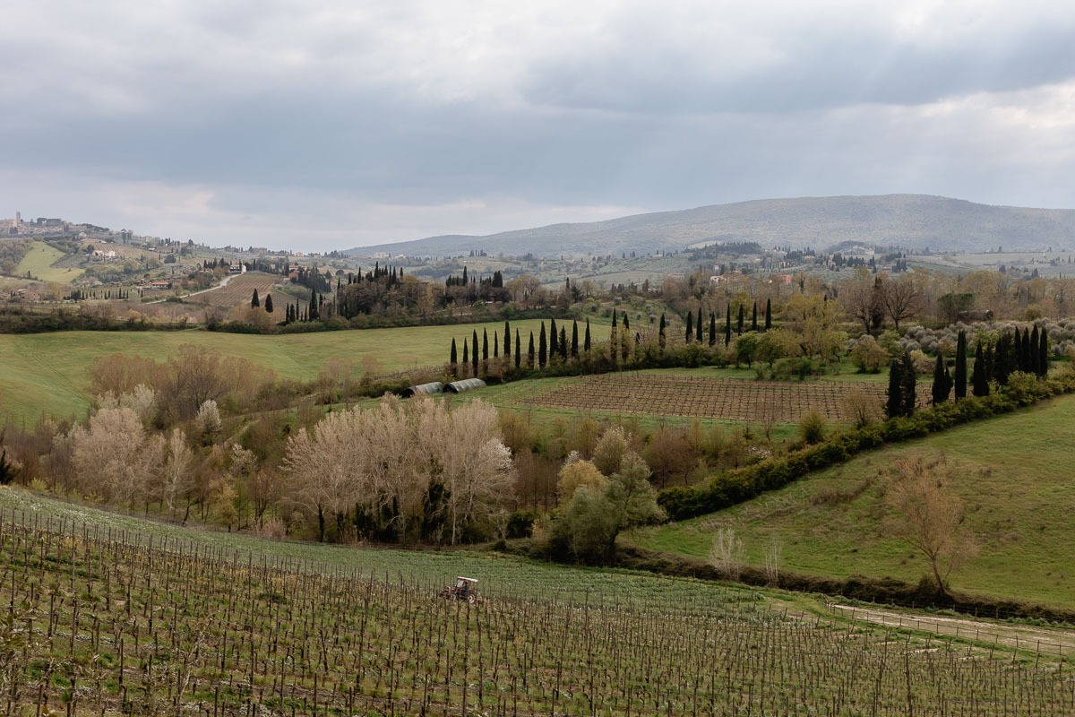 Elopement in Tuscany Agriturismo Mormoraia San Gimignano