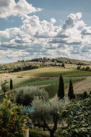 Casa Renai, Wedding in San Gimignano