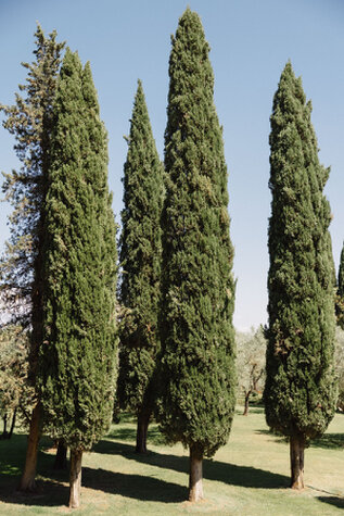 Scorci della location Antica Fattoria di Paterno