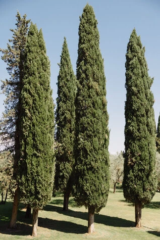Scorci della location Antica Fattoria di Paterno